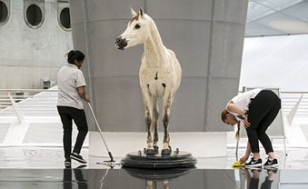 Das tote Pferd