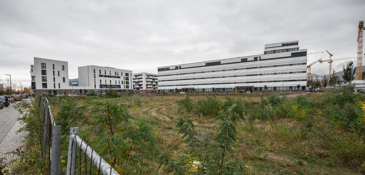 Wo es in der Bahnstadt noch Grünflächen gibt, stehen meist schon die Bauzäune bereit. 