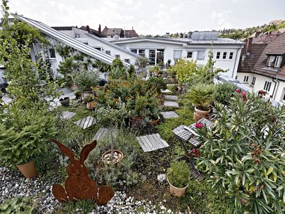 Mitten in der Stadt: paradiesische Ecken auch für Hummeln, Bienen, Schmetterlinge. Mitten in der Stadt: paradiesische Ecken auch für Hummeln, Bienen, Schmetterlinge.