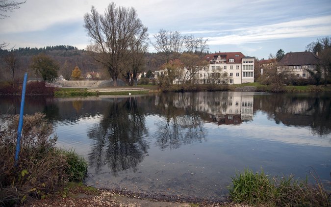 So sah das Ufer vor Hotelbau und Fällung aus. Foto: Reiner Löbe