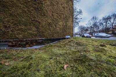 Ebenfalls ziemlich wirkungslos: Anti-Feinstaub-Mooswand.