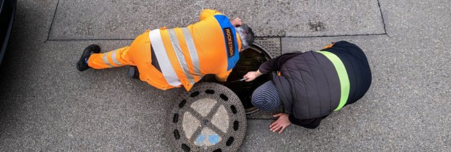 Die Rattenfänger von Stuttgart