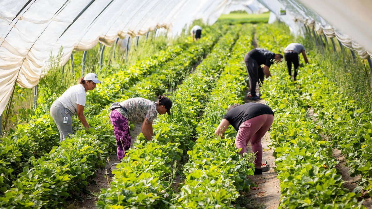 Schnell sein heißt die Devise – wie's dem Rücken dabei geht, wird ausgeblendet.