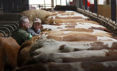 "Ich schieße keine Tiere, um sie wegzuwerfen."