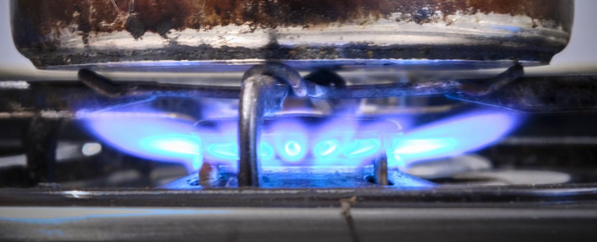 Wegen der Inflation verzichten 16 Prozent der Deutschen auf reguläre Mahlzeiten, befand eine Insa-Umfrage Anfang Juni. 