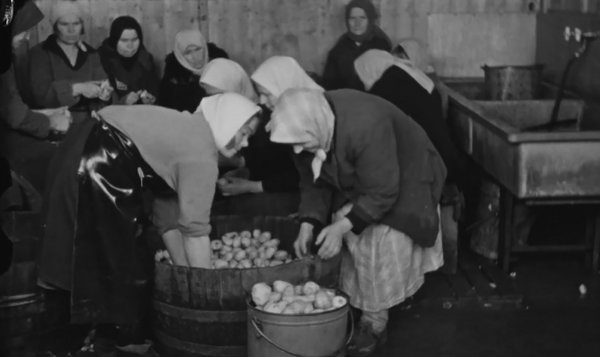 "Ostarbeiterinnen" in der Werksküche von Bosch in Feuerbach. Foto: Stadtarchiv Stuttgart, StAS 9510, Kriegschronik, Film 75