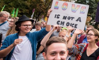 "Du schwule Sau!"
