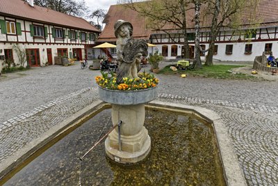 Marktplatz-Atmosphäre auf dem Öko-Hühnerhof.