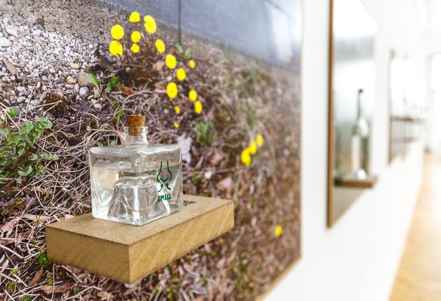 Katrin Petroschkats Destillen. Foto: Robert Pupeter