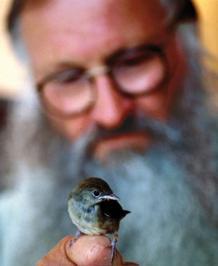 Peter Berthold und eine Mönchsgrasmücke. Foto: Archiv Radolfzell