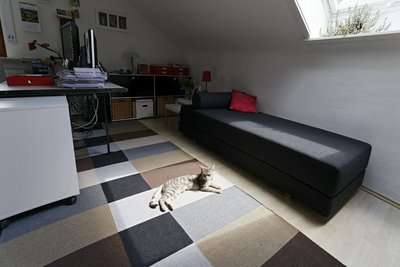 Gräbele mit Streichelzoo. Katze Lizzy beim Sonnenbad.