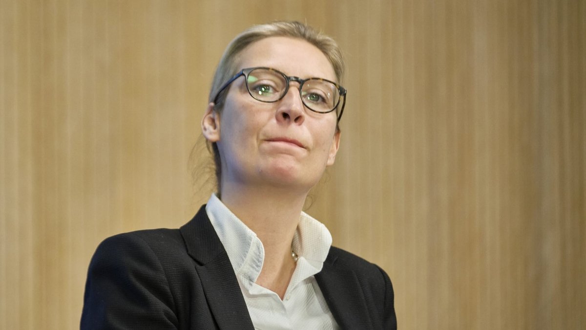 In Baden-Württemberg nichts hinbekommen, jetzt Bundesvorsitzende der AfD: Alice Weidel. Fotos: Joachim E. Röttgers