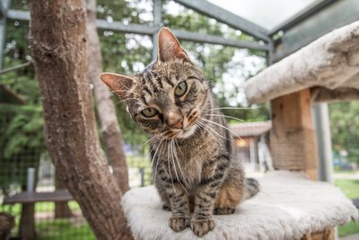 Zoon politikon. Foto: Jens Volle