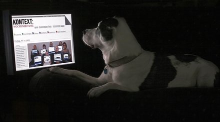 Von Anfang an: ein radikal kritischer Blick.