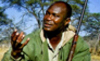 Touristen sehen keine Skandale