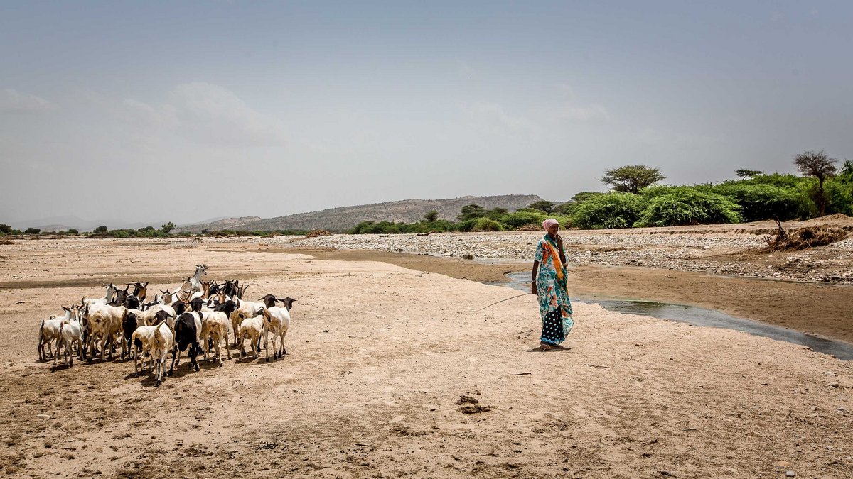Die etwa in der Baki-Region in Somalia dringend benötigten Gelder versickern immer öfter in Deutschland. Foto: Klaus Petrus, Welthungerhilfe