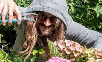 Die Mafia mit der Gartenschere
