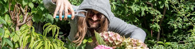 Die Mafia mit der Gartenschere
