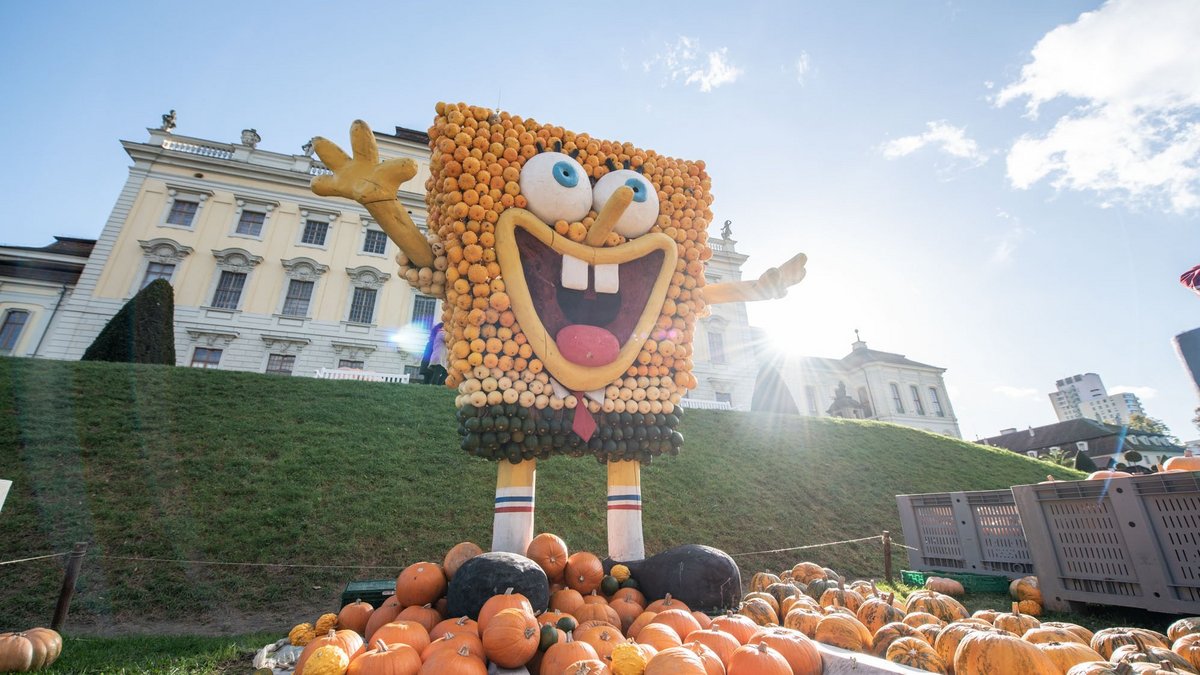 Ooooooooooohhh, wer wohnt in 'nem Kürbis ganz tief im M...oment mal. Wie war das noch gleich? Egal, Spongebob Kürbiskopf ist da!