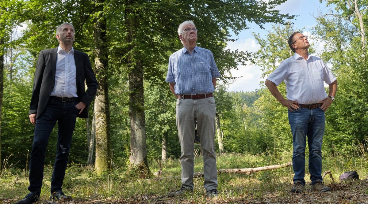 Gemeinsames Schauen nach den Bäumen (von links): OB Boris Palmer, MP Winfried Kretschmann und Minister Peter Hauk. Fotos: Joachim E. Röttgers