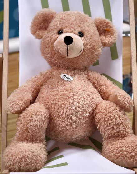 Das ist ein Wuschel-Kuschelbär. Foto: Joachim E. Röttgers