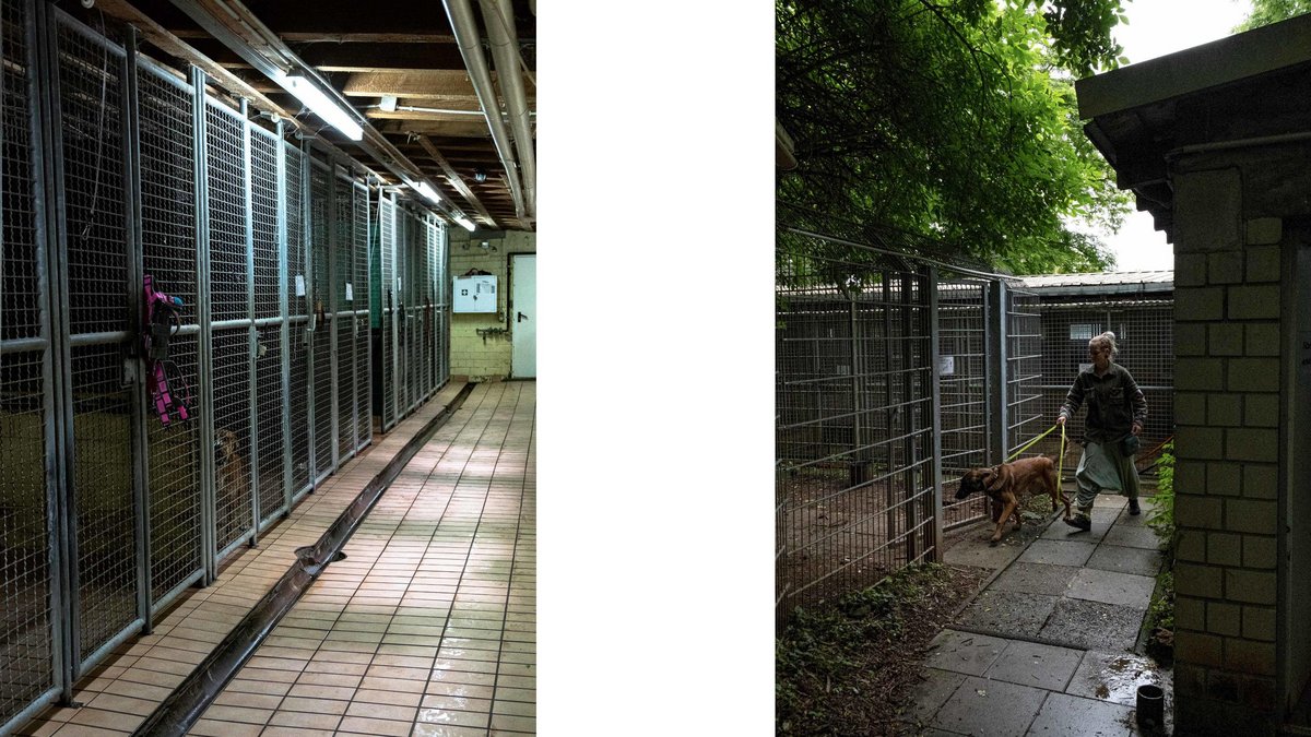 Ein Leben für Tiere