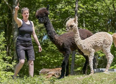 Tipsy Peucker mit ihren Alpakas Schoko und Karamel.