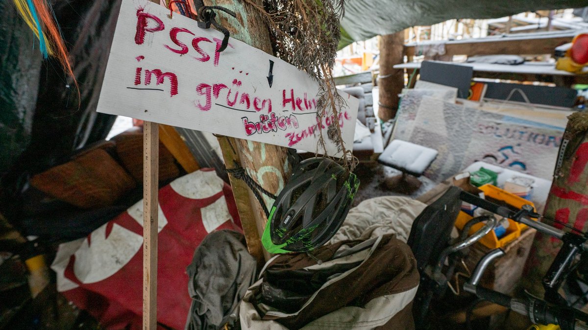 Mehr Zutrauen hat vergangenes Frühjahr ein Zaunkönigspaar gezeigt: Es nistete im Fahrradhelm.