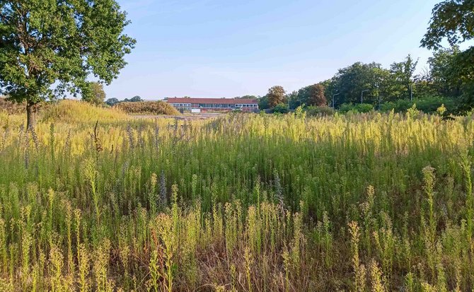 Der Wohnungsbau auf dem Karlsruher C-Areal hätte längst starten sollen, ...