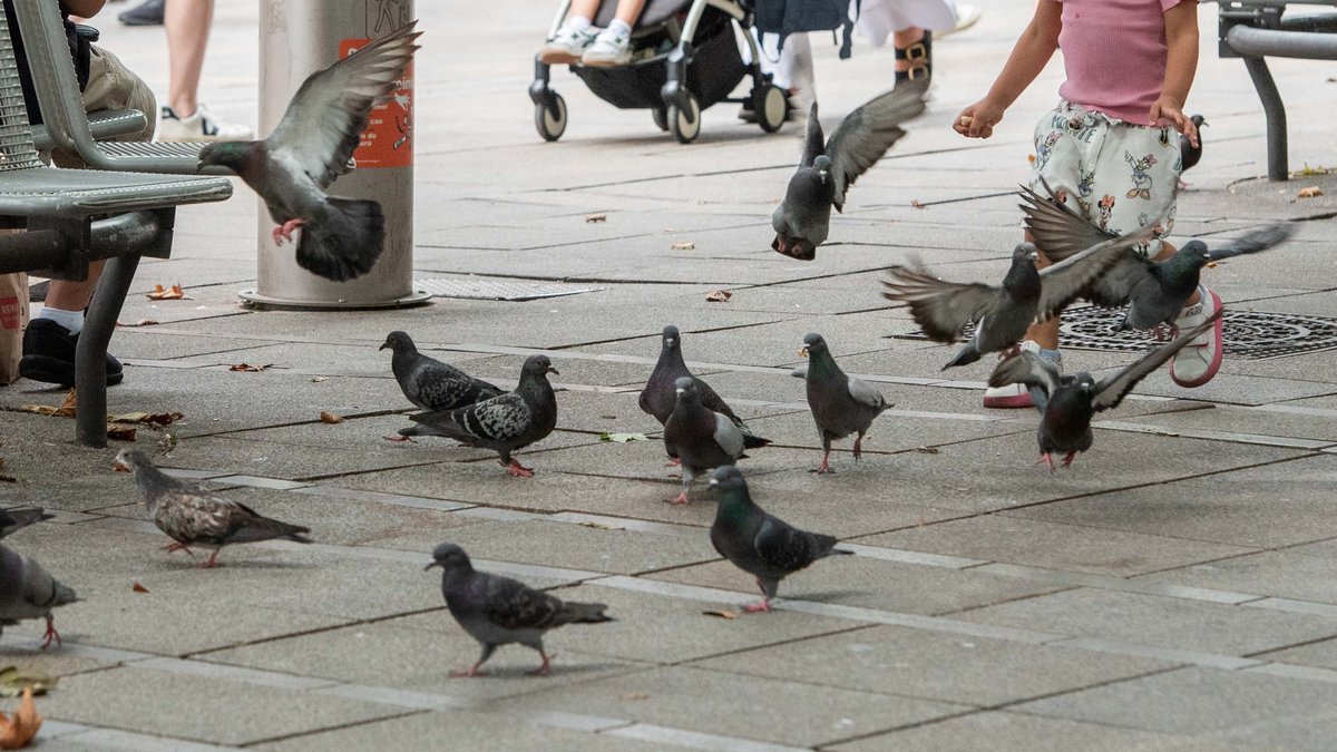 Welche Tiere sind schützenswert? Vor allem die, von denen der Mensch etwas hat. 