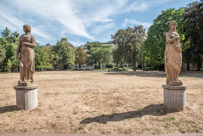 Der Zustand des Stadtgartens, dokumentiert am 24. August 2022. 