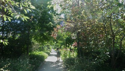 Urwaldartig: die Promenaden-Brücke Coulée verte René-Dumont, Paris. Foto: <a href="https://commons.wikimedia.org/wiki/User:Wowo2008" title="User:Wowo2008">Wowo2008</a>, <span class="int-own-work" lang="de">eigenes Werk</span>, <a href="https://creativecommons.org/licenses/by-sa/4.0" title="Creative Commons Attribution-Share Alike 4.0">CC BY-SA 4.0</a>, <a href="https://commons.wikimedia.org/w/index.php?curid=61346305">Link</a>