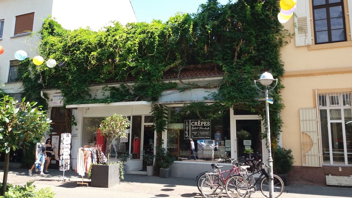 Ein grünes Dach kühlt das Gebäude und seine Umgebung in der Karlsruher Waldstraße.