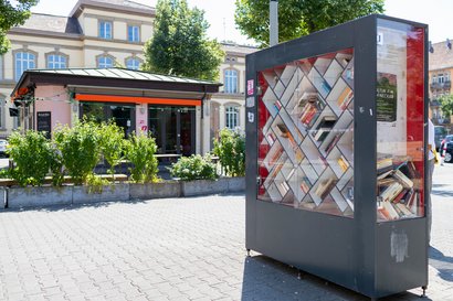 Hummel freut sich über Bücher- und sozialen Austausch am Bücherschrank.
