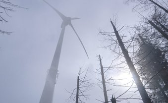 Lügen zur Primetime