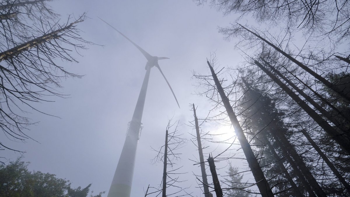 Das Schreckgespenst der Populist:innen bäumt sich im nebligen Schwarzwald auf. Foto: Joachim E. Röttgers Das Schreckgespenst der Populist:innen bäumt sich im nebligen Schwarzwald auf. Foto: Joachim E. Röttgers