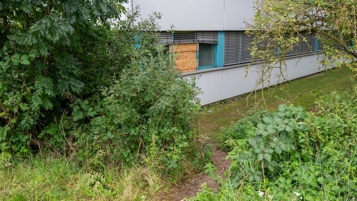 Elbit von hinten: Ein Fenster ist noch nicht repariert, die Einbrecher:innen könnten den gut eingelaufenen Trampelpfad genutzt haben. 