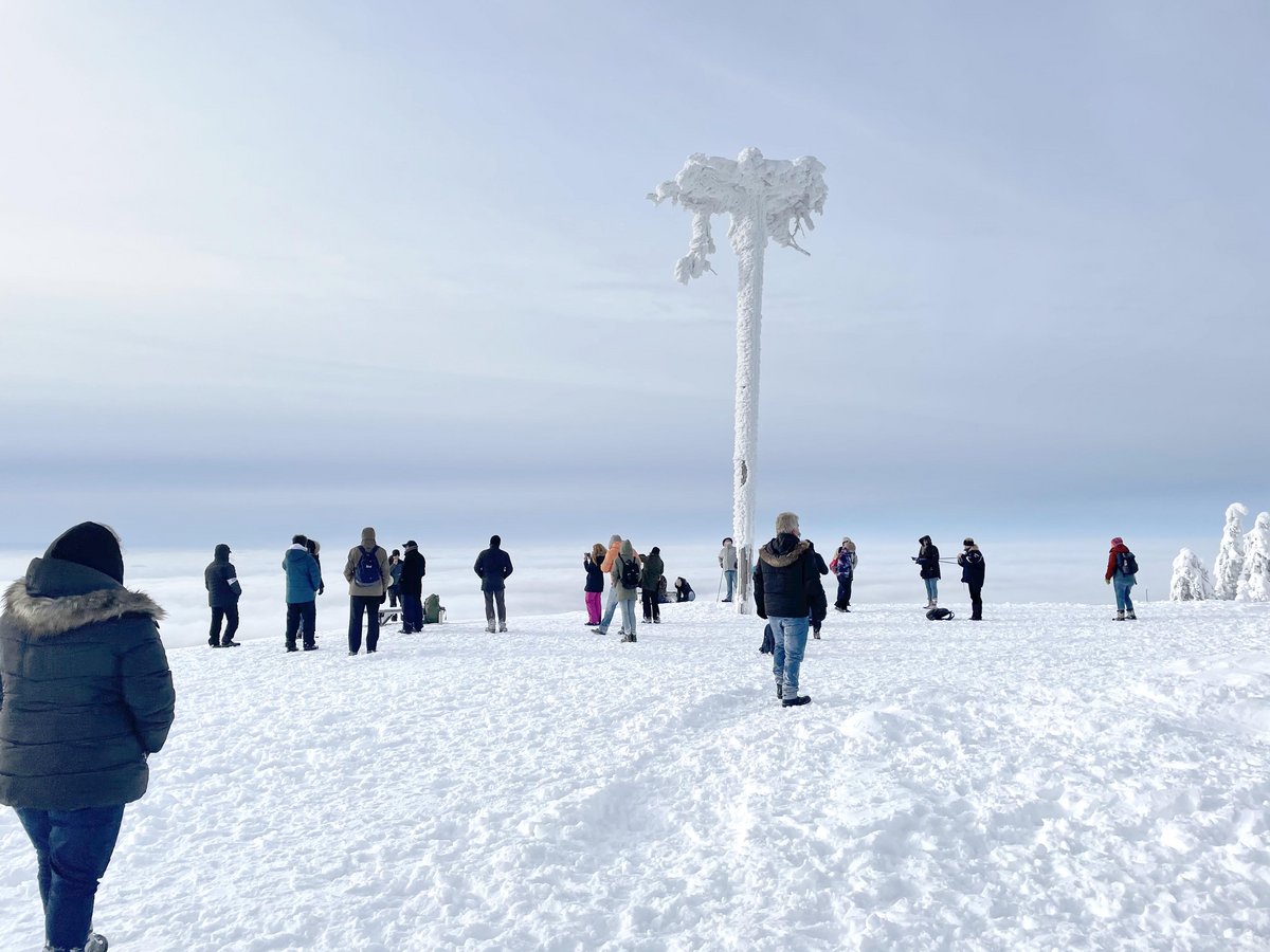 Märchenlandschaft auf der Hornisgrinde. Gut fürs Immunsystem! Foto: Kontext