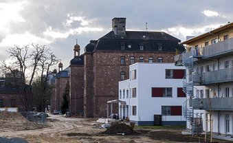 Kein Platz für Heuschrecken