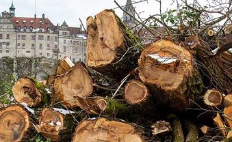 Gnadenlos abgehackt