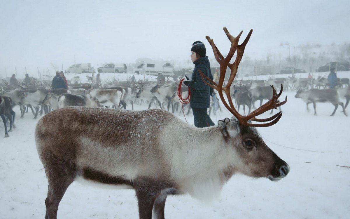 Unter der nördlichsten Stadt Schwedens liegt die größte Eisenerzmine der Welt. Kiruna – Mathis Heimat – ist dadurch einsturzgefährdet. Bis 2040 will man die Stadt um fünf Kilometer verrücken.  Unter der nördlichsten Stadt Schwedens liegt die größte Eisenerzmine der Welt. Kiruna – Mathis Heimat – ist dadurch einsturzgefährdet. Bis 2040 will man die Stadt um fünf Kilometer verrücken.