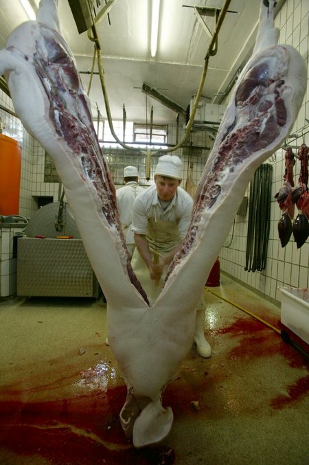 Wie es dem Schwein wohl vor dem Zerteilen ging?