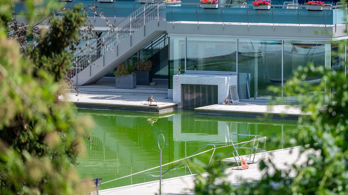 Das Mineralbad Berg hat wegen Wasserschaden zu – die Gänse freut's. Foto: Jens Volle