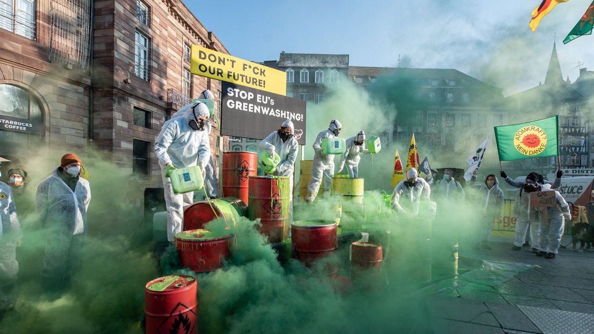 Kein Greenwashing von Gas und Atom: gemeinsamer Protest deutscher und französischer Umweltorganisationen am 19. Januar in Straßburg. Fotos: Jens Volle