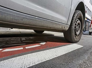 Rücksichtsloser Wildparker. 