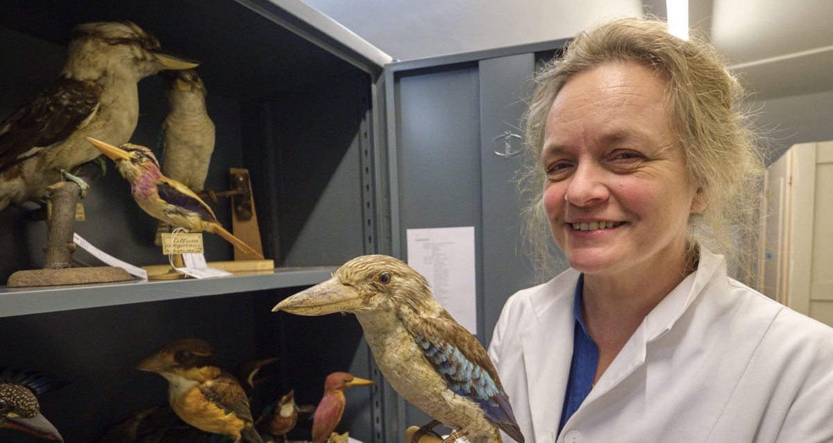 Friederike Woog mit Blauflügelliest, verwandt mit dem Lachenden Hans. Fotos: Joachim E. Röttgers