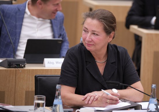 "Untersuchungsausschuss Machtmissbrauch" – dieser Name wäre angemessen gewesen, meint Julia Goll (FDP). "Untersuchungsausschuss Machtmissbrauch" – dieser Name wäre angemessen gewesen, meint Julia Goll (FDP).