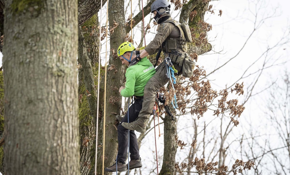 Uni-Campus in Stuttgart-Vaihingen, Februar 2024: Ein SEK-Beamter holt einen Robin-Wood-Aktivisten von einer Eiche. Foto: Julian Rettig