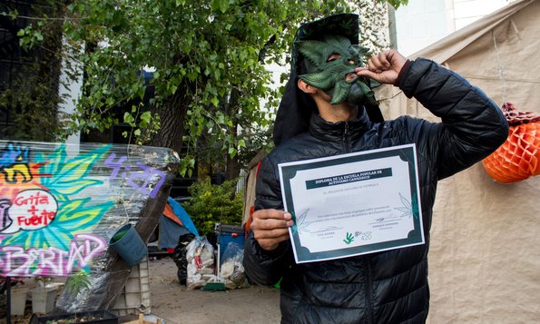 Trockenkiffen trotz Diplom?