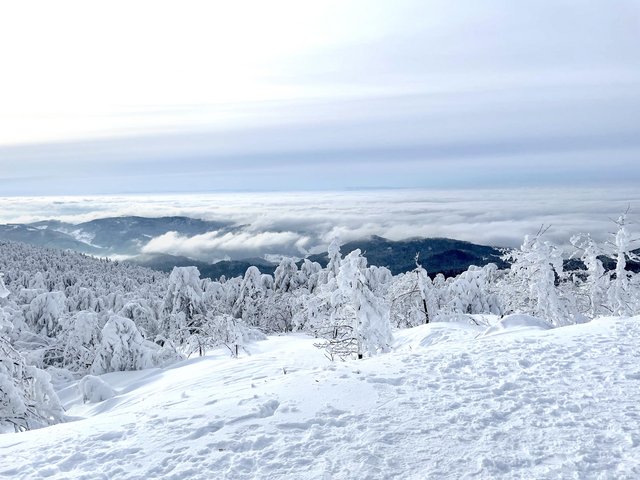 Oben am Rande des Abgrunds. Foto: Kontext